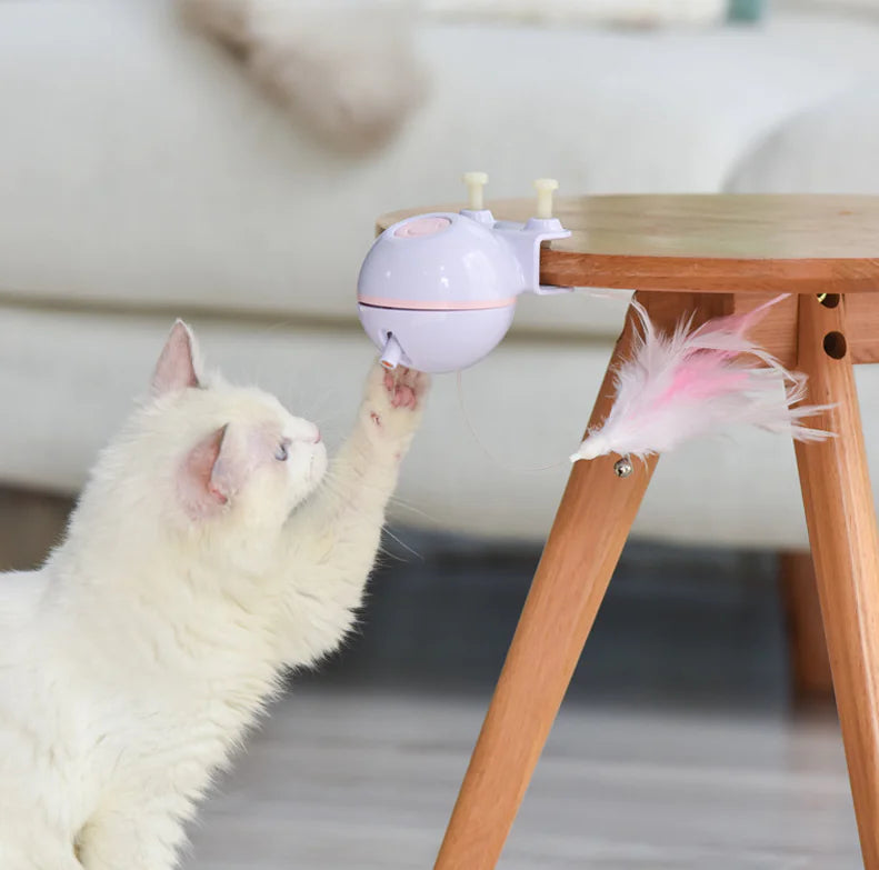 Pet Toy Ball with USB Electric Teaser Wand (Replaceable)