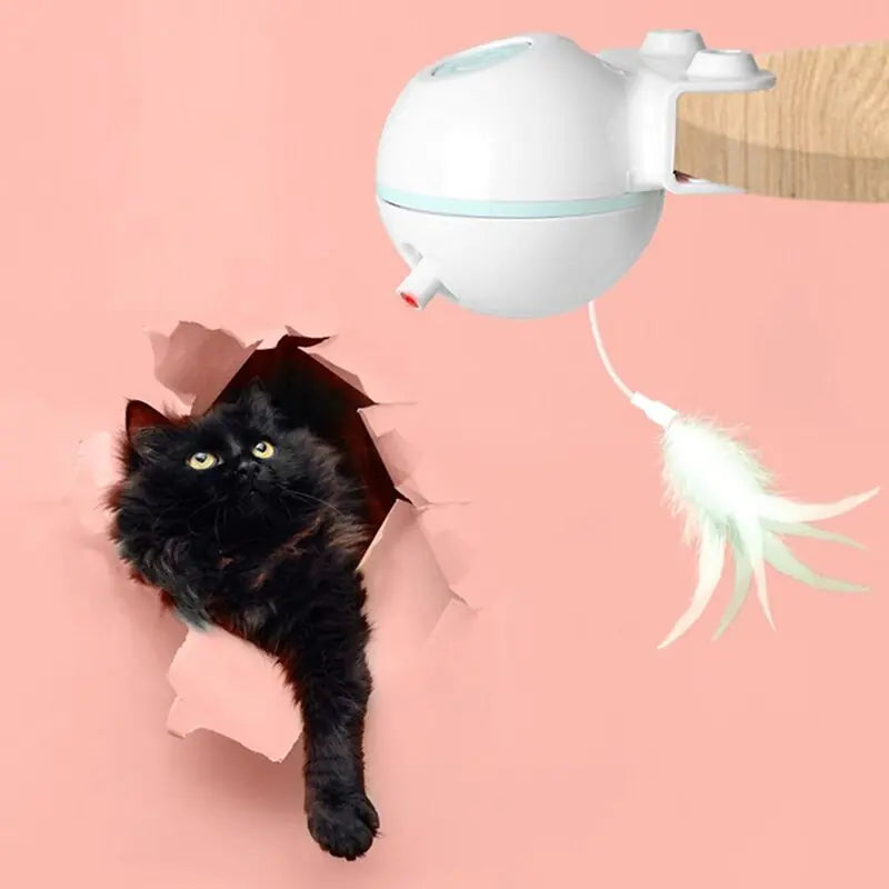 Pet Toy Ball with USB Electric Teaser Wand (Replaceable)